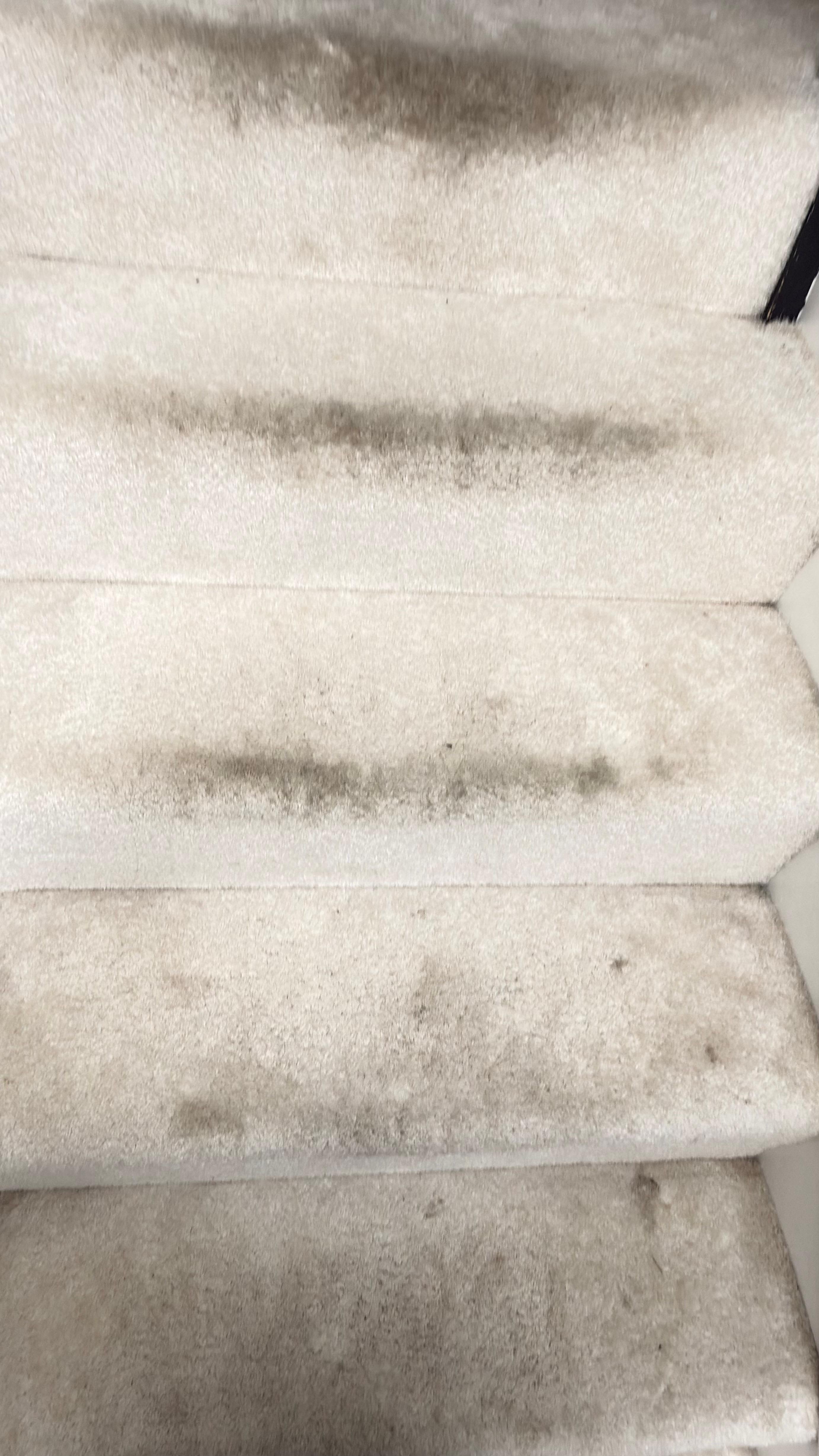 Cream stair carpet before cleaning