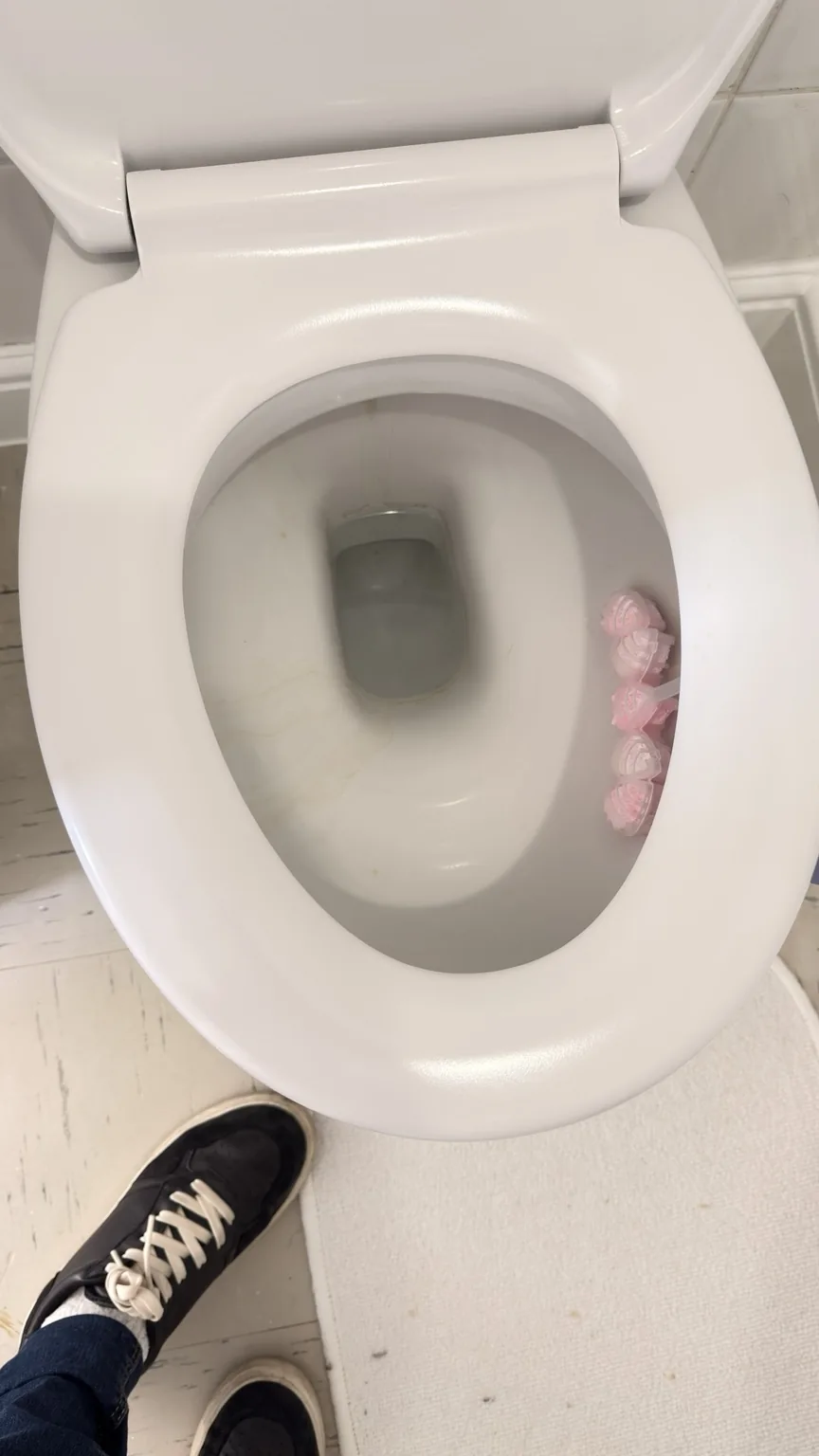 Toilet before professional bathroom cleaning by RASO Cleaning Service