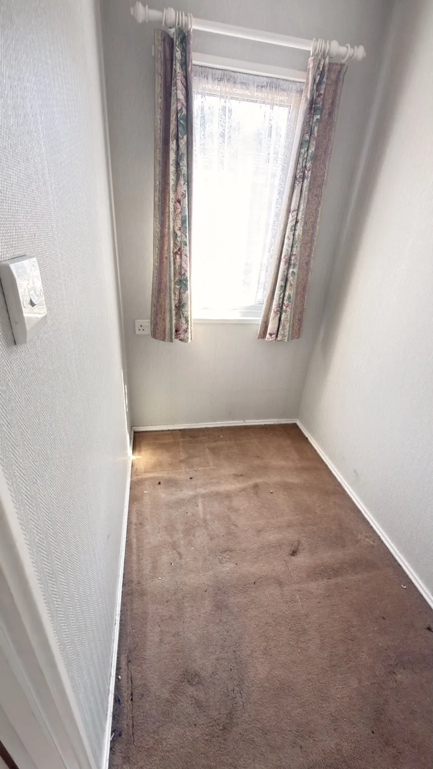 Marked carpet before professional RASO carpet cleaning