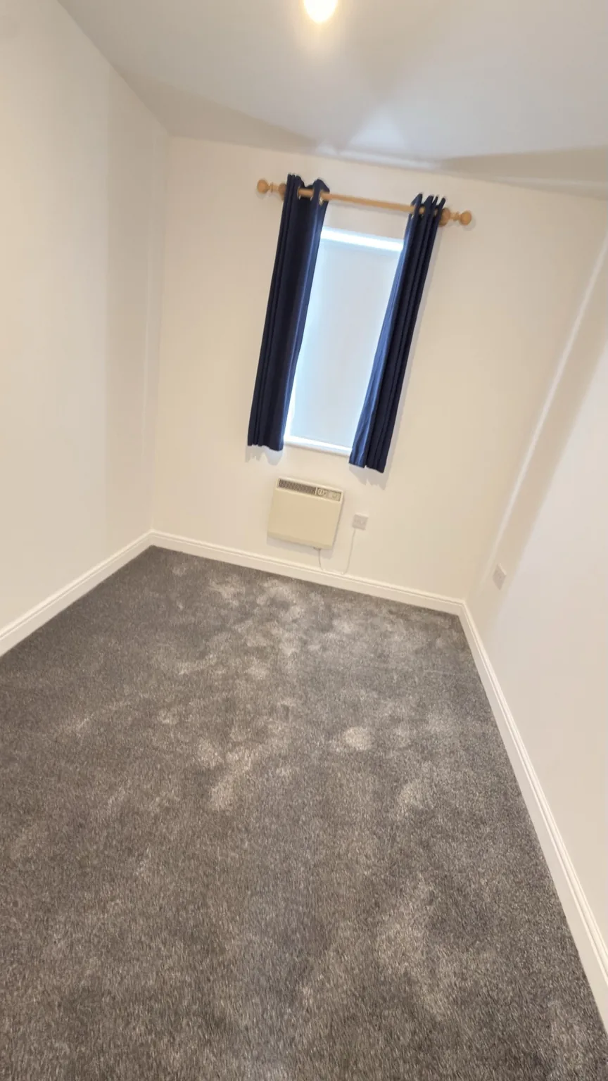 Carpet area prepared for professional RASO carpet cleaning